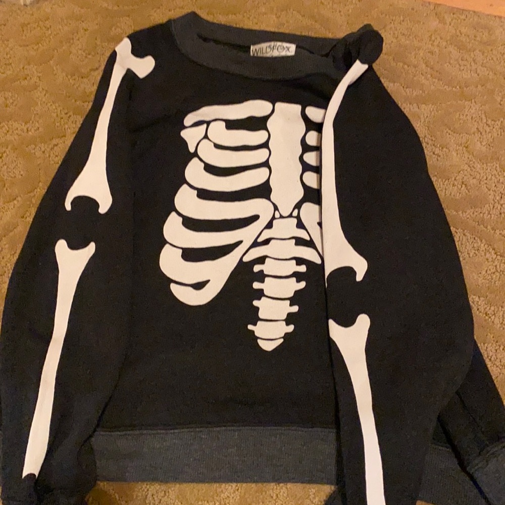 Wildfox sweatshirt